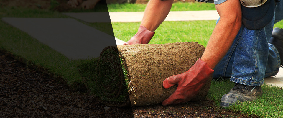 Kellyville Landscapers